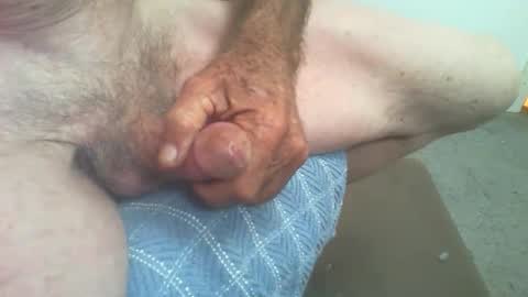 rattcatt online show from February 12, 1:39 pm