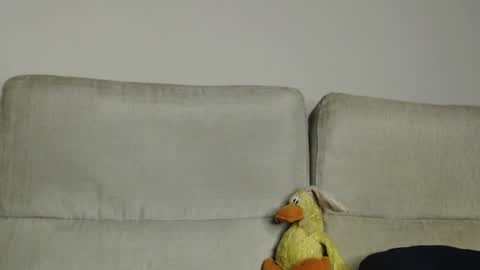 Snapshot of raycatt chatting on April 5, 11:40 am Ray online show from April 5, 11:40 am
