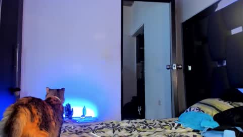 Rayn online show from September 28, 9:42 pm