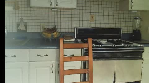 Snapshot of raylene4u2 chatting on December 18, 12:33 pm Ray online show from December 18, 12:33 pm