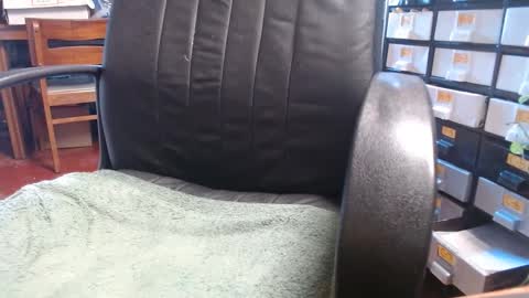 Snapshot of raysmith77777777 chatting on January 1, 3:03 pm Ray online show from January 1, 3:03 pm