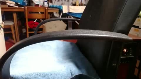 Snapshot of raysmith77777777 chatting on November 4, 12:04 pm Ray online show from November 4, 12:04 pm