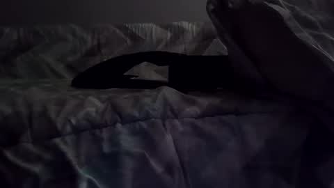 Snapshot of rcalty chatting on November 10, 1:37 am rcalty online show from November 10, 1:37 am