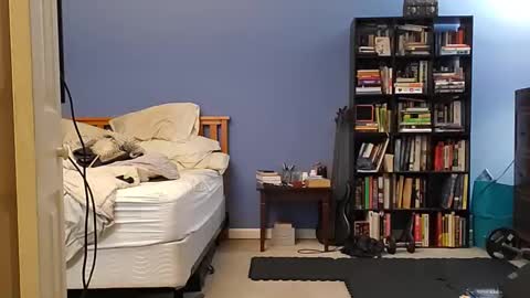 rebelstarlight online show from March 31, 7:42 am