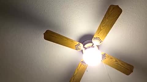 Snapshot of red24devils chatting on October 26, 5:41 pm red24devils online show from October 26, 5:41 pm