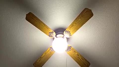 Snapshot of red24devils chatting on November 21, 1:04 am red24devils online show from November 21, 1:04 am