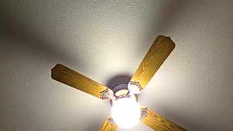 Snapshot of red24devils chatting on February 2, 8:07 pm red24devils online show from February 2, 8:07 pm