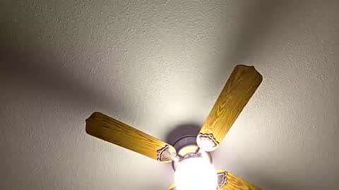 red24devils online show from February 18, 12:50 am