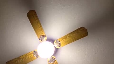 red24devils online show from March 14, 12:39 am