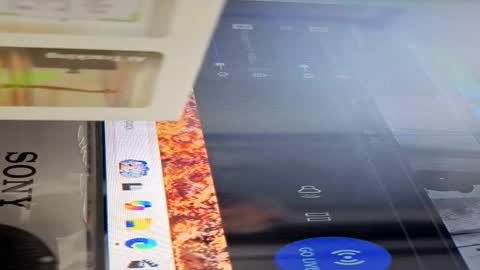 Alex online show from October 14, 7:09 am