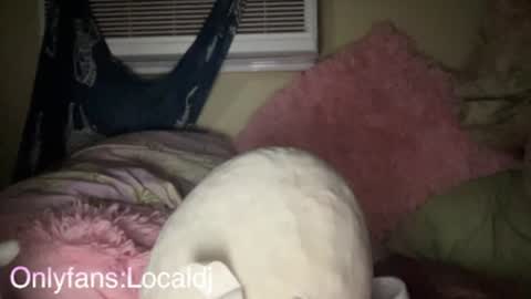 reeteeeesg online show from January 7, 5:22 am