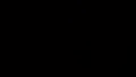 reinarica online show from April 8, 9:42 am