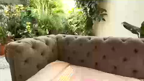 S T A C Y online show from September 13, 1:22 pm