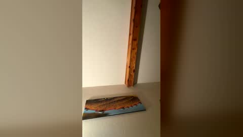 Snapshot of rhinodickasaurus chatting on December 17, 7:58 am RhinoDickasaurus online show from December 17, 7:58 am