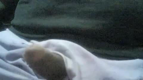 Snapshot of ricardo160291 chatting on January 6, 1:09 am ricardo160291 online show from January 6, 1:09 am