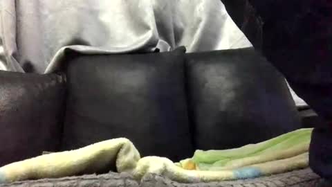 Babu online show from February 10, 2:15 am