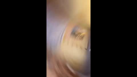 Gunman online show from February 15, 10:50 pm