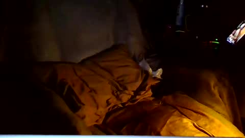 Snapshot of ricks4fun chatting on March 6, 4:53 am PINK HOLE TWINK online show from March 6, 4:53 am