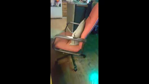 ripchoo online show from January 9, 1:41 am