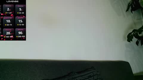 SebasRoa online show from November 28, 2:31 pm