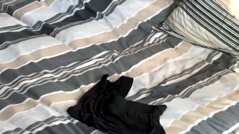 rob616580 online show from January 13, 10:53 am