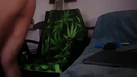 Zenek online show from February 1, 8:02 am