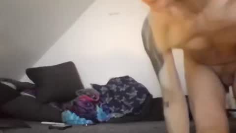 Zenek online show from February 26, 8:13 am