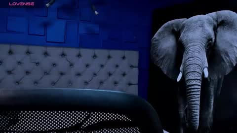 rocco_santos online show from September 14, 2:00 am