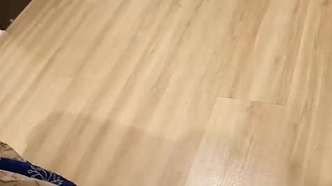 Snapshot of rockikoki chatting on March 16, 4:33 pm rockikoki online show from March 16, 4:33 pm