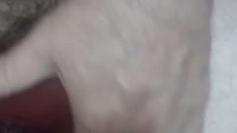 Snapshot of rokk_dude chatting on October 26, 2:28 am rokk_dude online show from October 26, 2:28 am