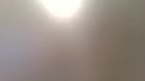 Trinked online show from December 16, 10:31 am