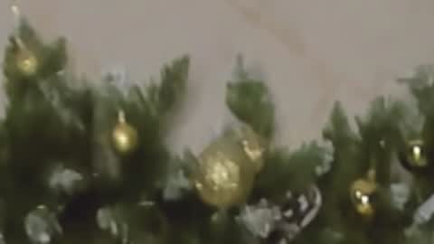 Snapshot of rosa1ia chatting on December 27, 10:05 pm Chloe online show from December 27, 10:05 pm