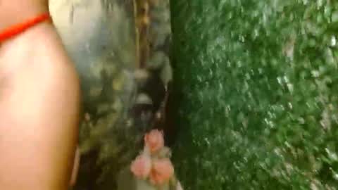 Snapshot of rosa_skinny chatting on April 18, 2:59 am rosa online show from April 18, 2:59 am