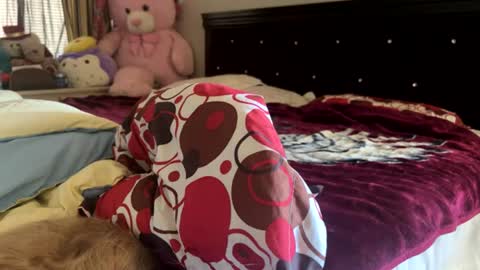 Rose and Jacks Pay Room online show from July 30, 7:13 pm