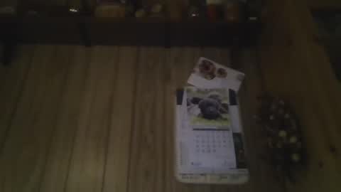 Snapshot of roses2u1958 chatting on January 1, 8:04 pm roses2u1958 online show from January 1, 8:04 pm