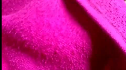 Rosi online show from July 14, 1:41 am