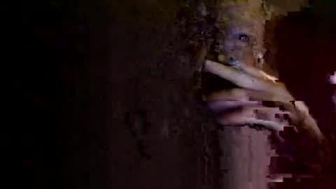 rotorranch online show from October 2, 6:31 am