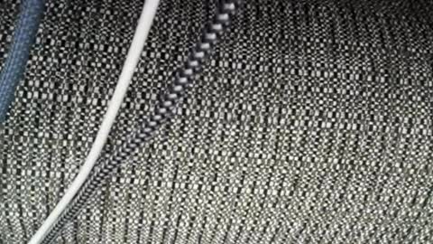 Snapshot of roxylove369 chatting on April 3, 2:31 am roxylove369 online show from April 3, 2:31 am