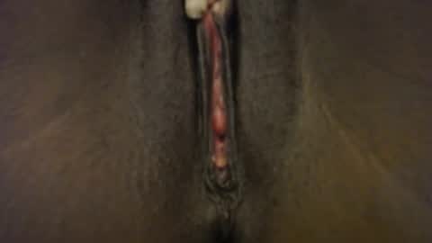 Ivy online show from October 31, 6:31 pm