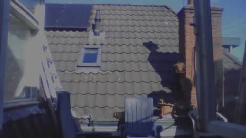 royalpapi12 online show from April 1, 1:41 pm