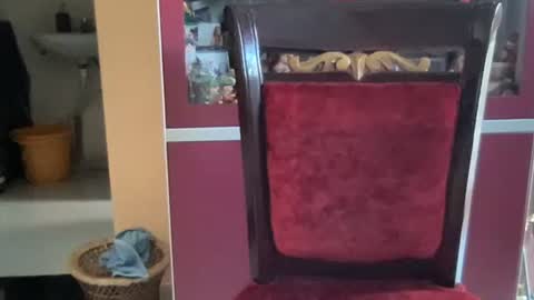 rsex2007 online show from November 11, 7:41 am