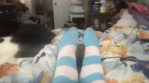 Goku online show from January 16, 6:48 pm