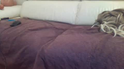 sabrinatravsexy online show from June 27, 7:41 pm