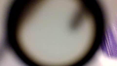 Snapshot of sagitariablossom chatting on February 9, 7:23 am LatinaMamacita online show from February 9, 7:23 am