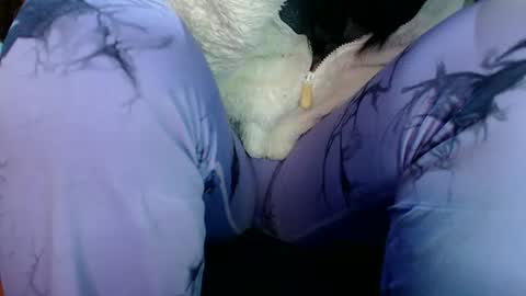 Snapshot of sahotlove1 chatting on March 31, 12:34 am Karina online show from March 31, 12:34 am