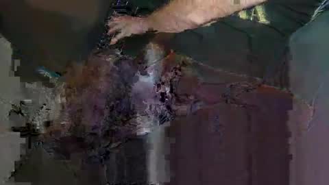 Snapshot of saige5558 chatting on December 22, 7:22 pm saige5558 online show from December 22, 7:22 pm