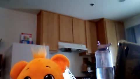 salis1981 online show from February 19, 12:39 am