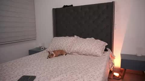 salomedyla online show from March 19, 11:53 pm