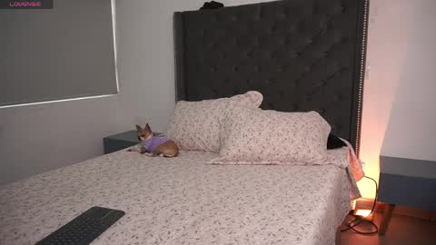 Snapshot of salomedyla chatting on April 16, 9:39 pm salomedyla online show from April 16, 9:39 pm