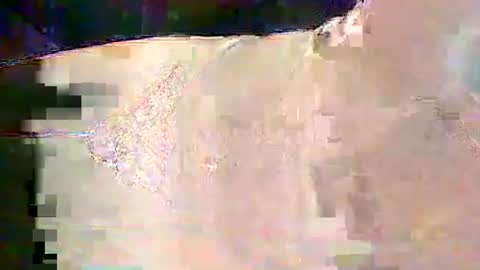 Snapshot of sam5554401727 chatting on February 25, 6:28 pm sam5554401727 online show from February 25, 6:28 pm